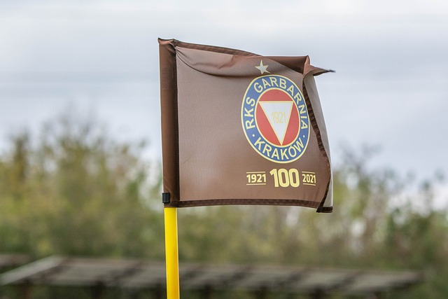 令人印象深 令人印象深