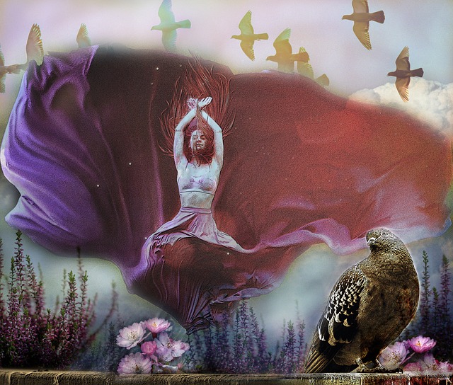 的大胆批评 的大胆批评