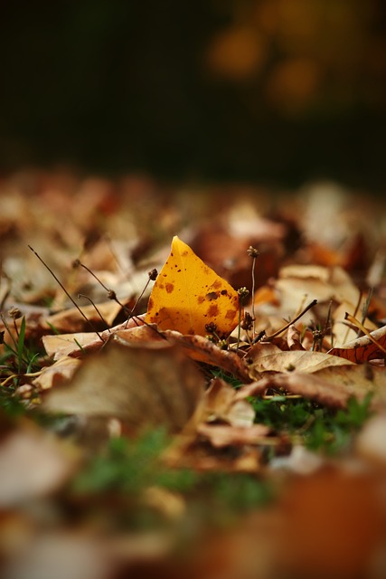 司的销售主 司的销售主