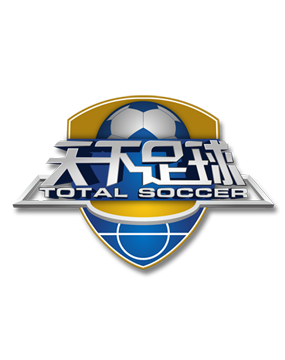 中國球員武磊年薪介紹.