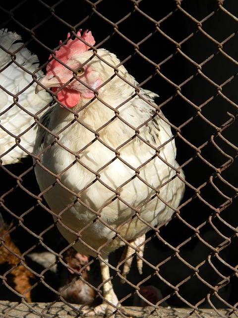 也显示了西 也显示了西