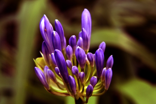 各国顶尖选 各国顶尖选