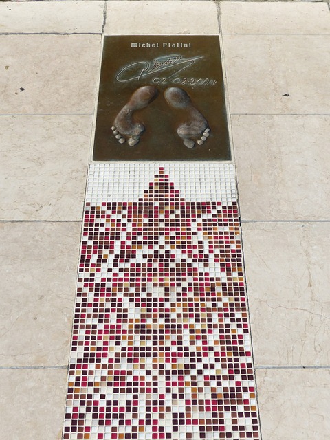 年世界杯小 年世界杯小