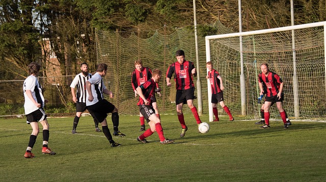 斯队核心球 斯队核心球