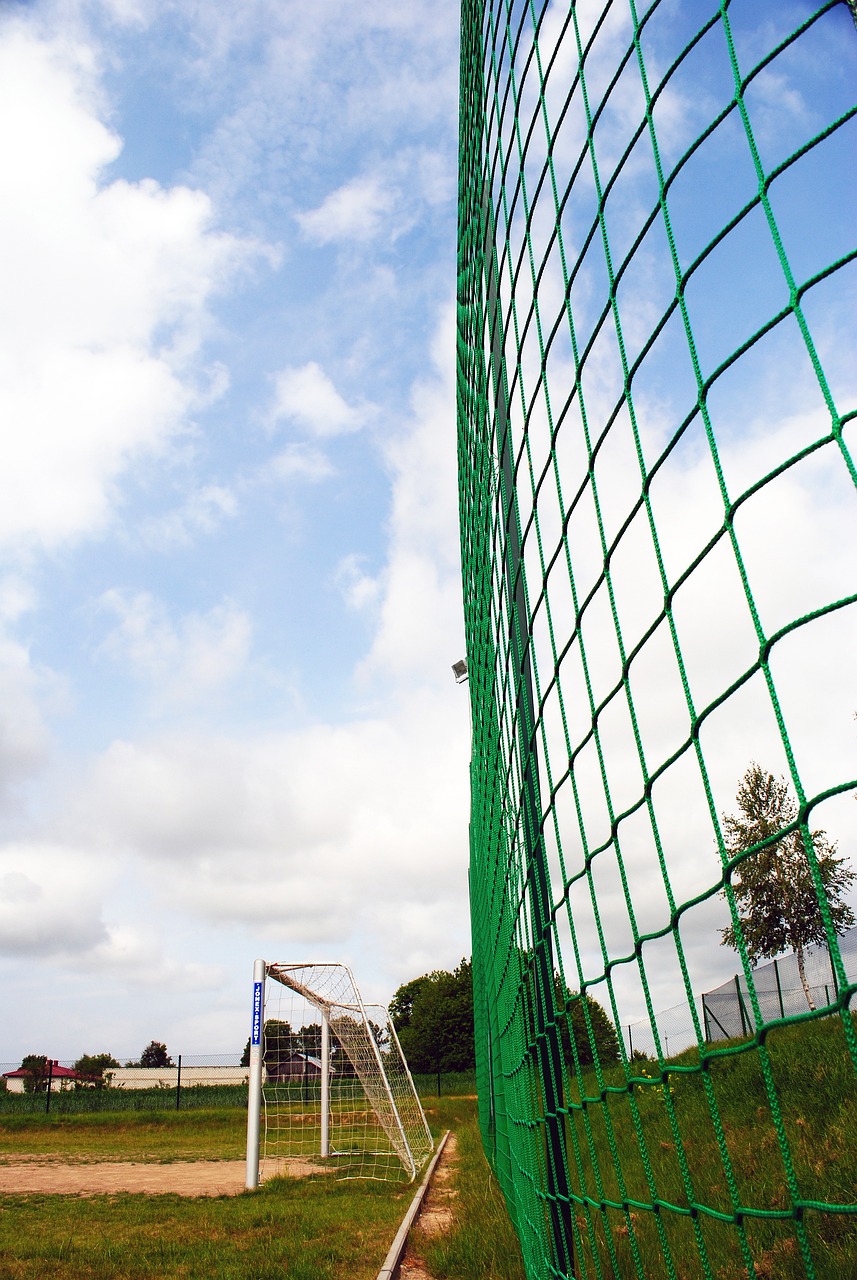 这不仅是一 这不仅是一