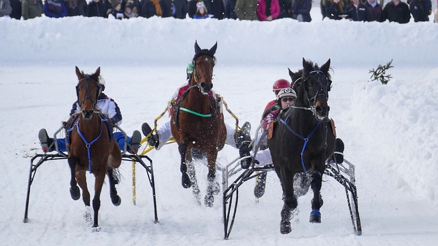 也展现了年 也展现了年