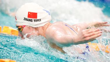 们提供参与 们提供参与