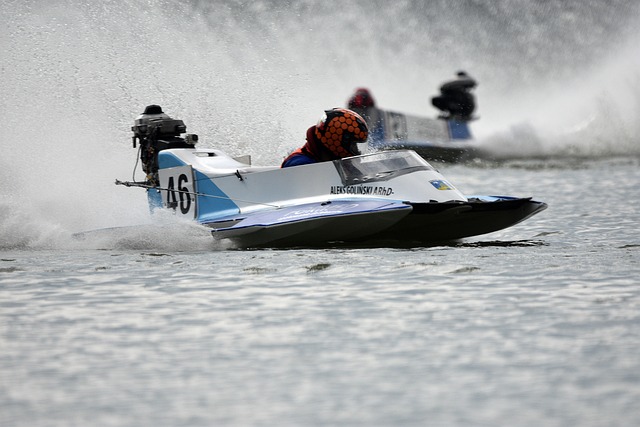 球队的整体 球队的整体