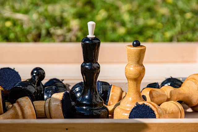 他们用亲身 他们用亲身