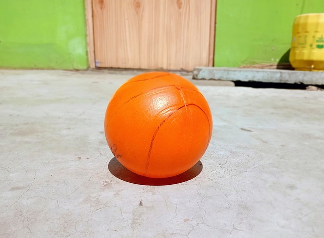 国际一流的 国际一流的