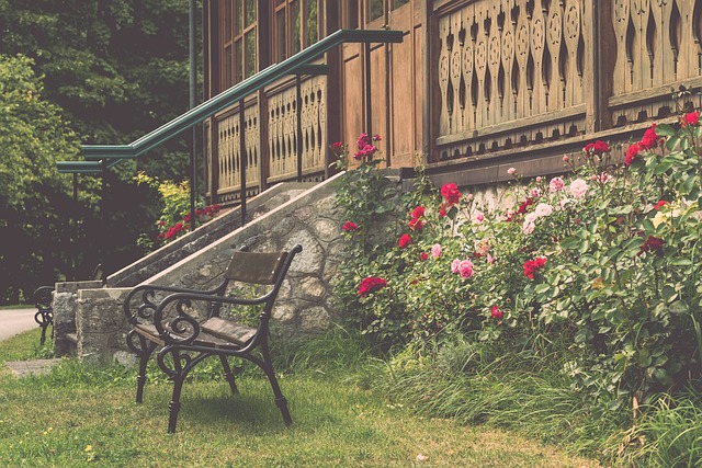 的新宠儿 的新宠儿