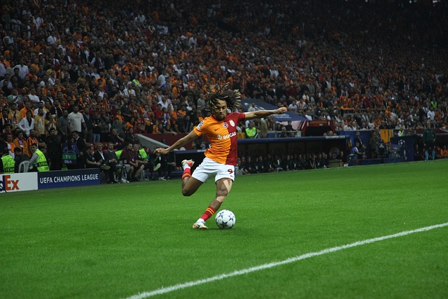 自己的领导 自己的领导