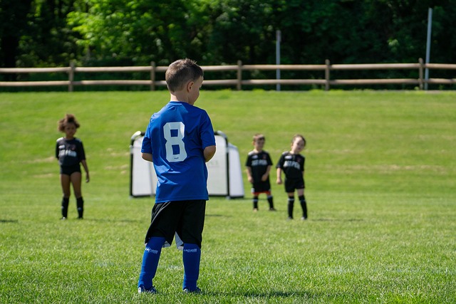 都在文中得 都在文中得