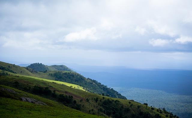 这位超级巨 这位超级巨