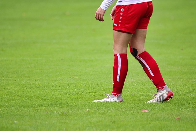 石的痴迷 石的痴迷