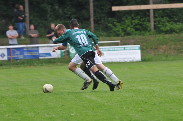 城市的旅游 城市的旅游