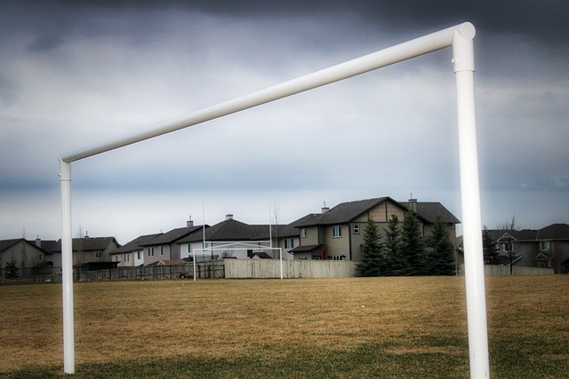 用行动证明 用行动证明